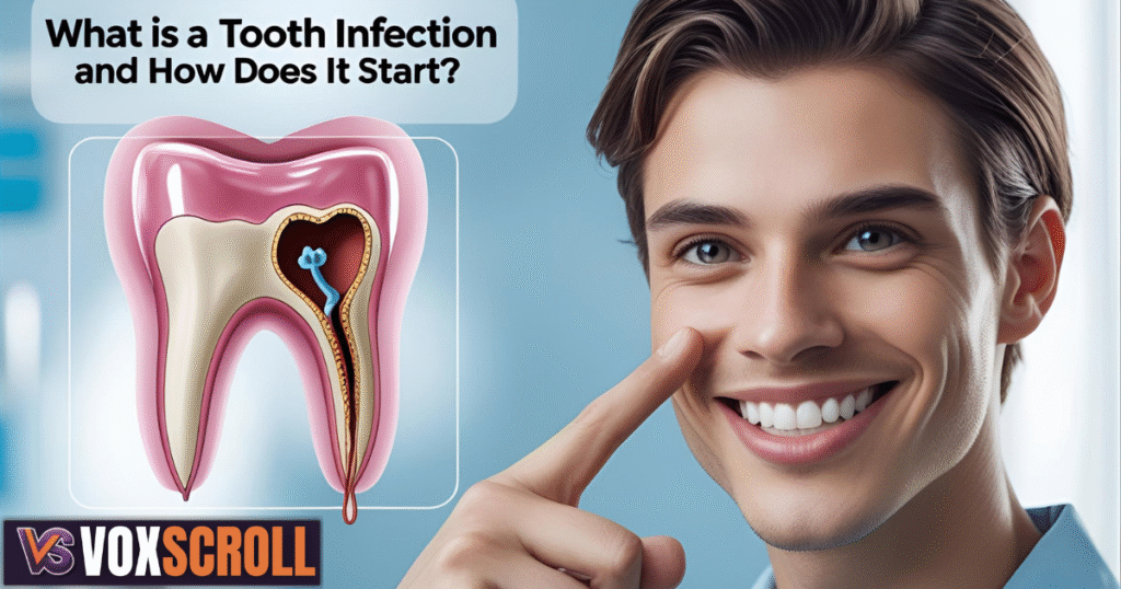 What is a Tooth Infection and How Does it Start