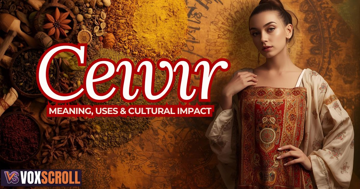 Ceıvır Uncovered: 10 Powerful Insights Into Its Meaning, Uses & Cultural Impact