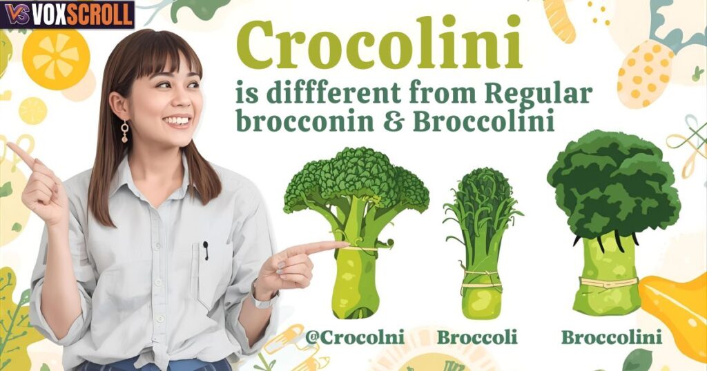 How Crocolini Is Different from Regular Broccoli and Broccolini