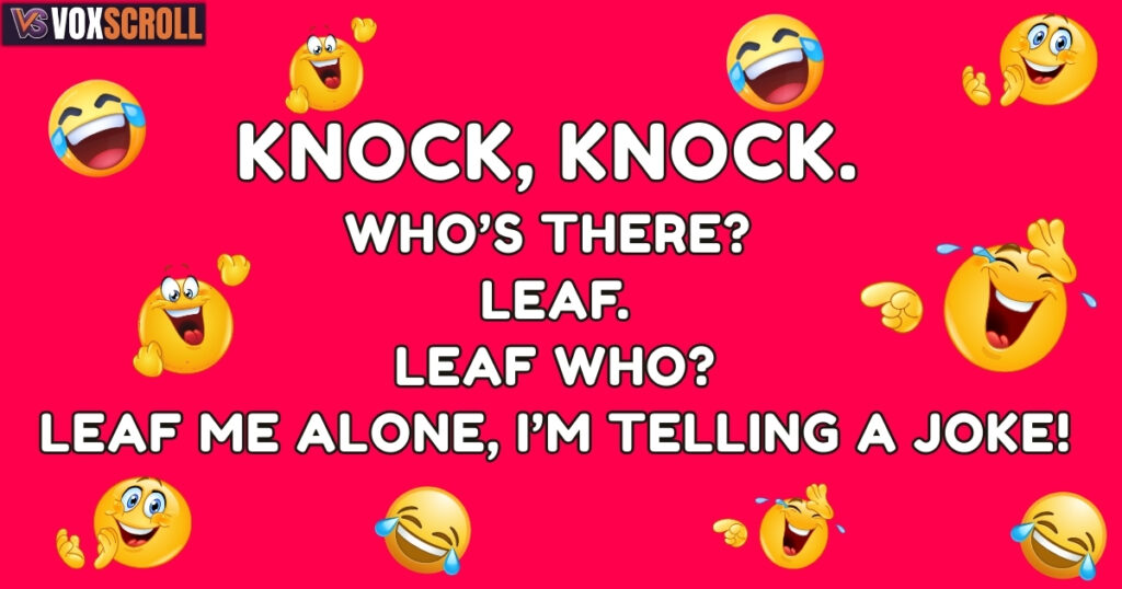 The Funniest Knock Knock Jokes for Kids